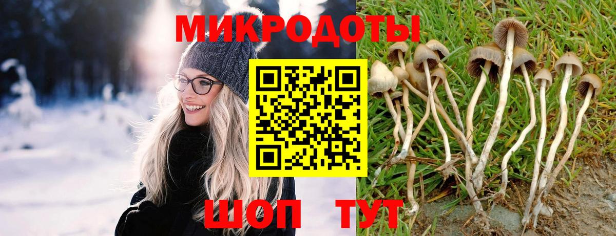 Кирово-Чепецк  Вход с VPN  Cocaine  МЕФ   Каннабис  LSD-25  Гашиш  Экстази  АМФЕТАМИН кристаллы 